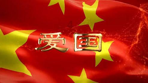 杭州一肿瘤晚期主人给猫咖留纸条托付爱猫,养宠物是为了有精神依靠吗?-生活智囊团-问答专家