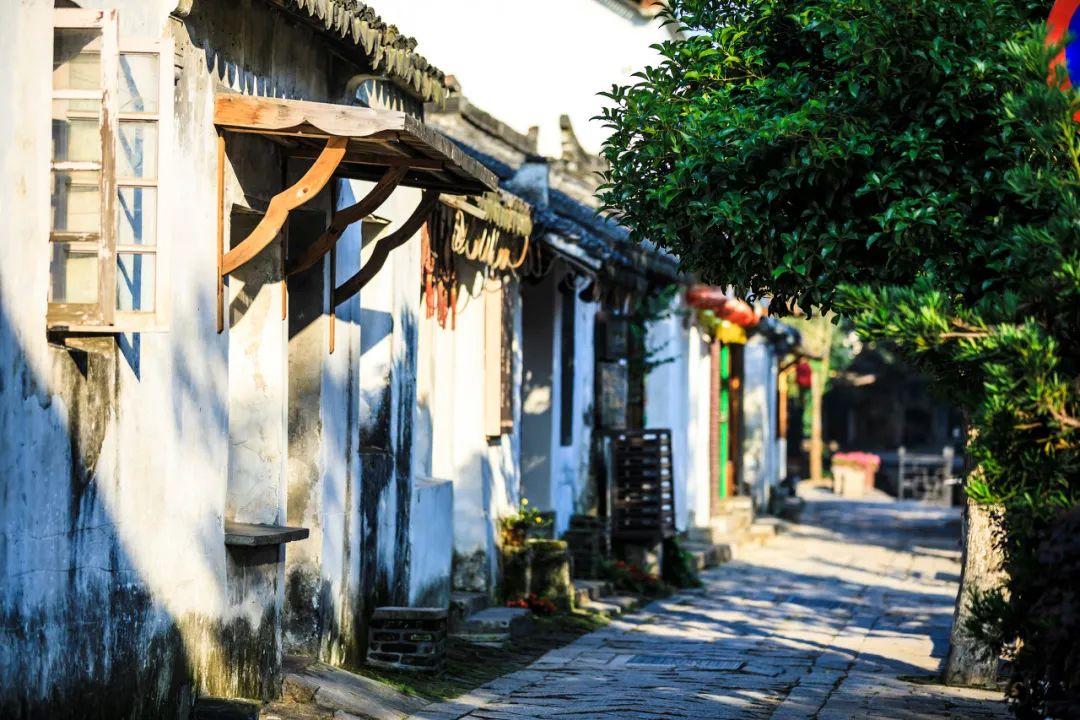 警察战僵尸无敌版